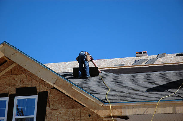 Best Roof Moss and Algae Removal  in Fircrest, WA