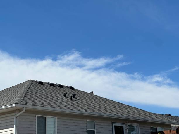 Best Steel Roofing  in Fircrest, WA